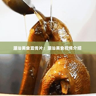 潮汕美食宣传片:潮汕美食视频介绍