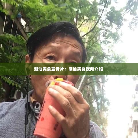 潮汕美食宣传片:潮汕美食视频介绍