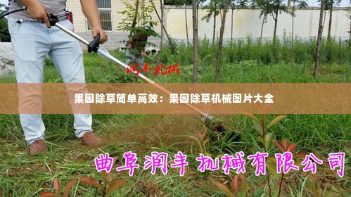 片口张舌 第4页