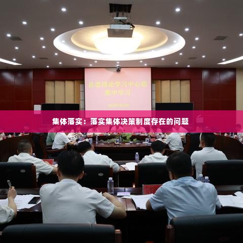 集体落实:落实集体决策制度存在的问题