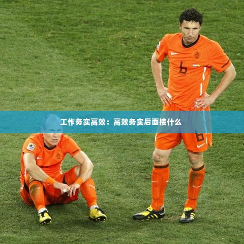 工作务实高效:高效务实后面接什么