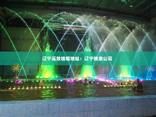 辽宁高效喷嘴地址：辽宁喷泉公司 