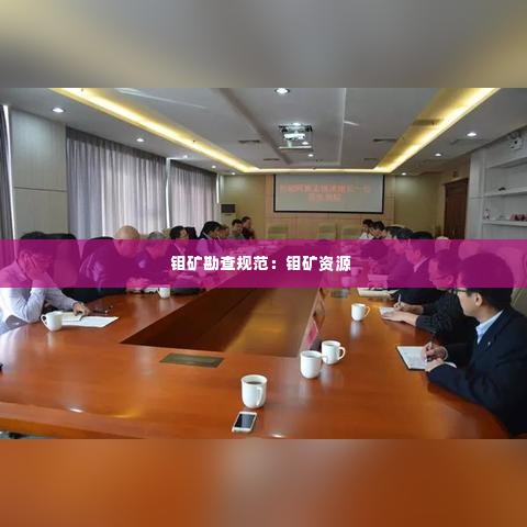 钼矿勘查规范:钼矿资源