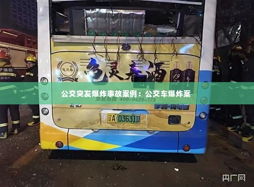 公交突发爆炸事故案例：公交车爆炸案 