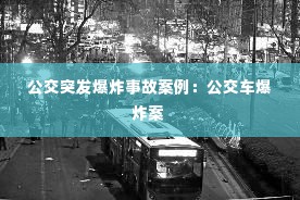 公交突发爆炸事故案例:公交车爆炸案
