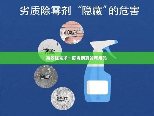 高效除霉净:除霉剂真的有用吗