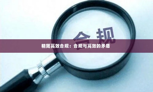 精简高效合规:合规与高效的矛盾