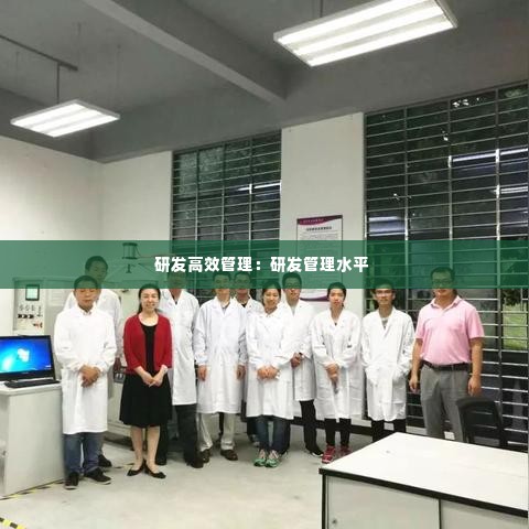 研发高效管理:研发管理水平