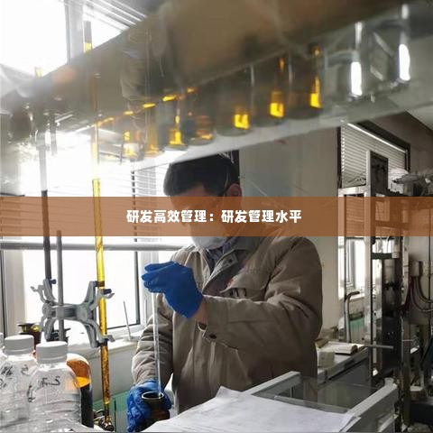 研发高效管理:研发管理水平
