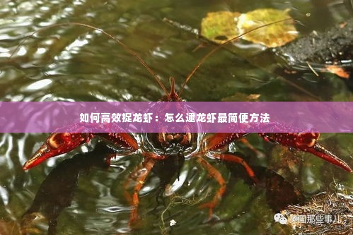如何高效捉龙虾:怎么逮龙虾最简便方法
