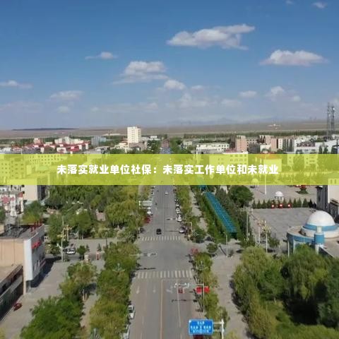 未落实就业单位社保:未落实工作单位和未就业