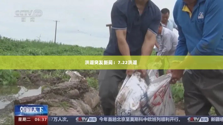 洪湖突发新闻:7.22洪湖