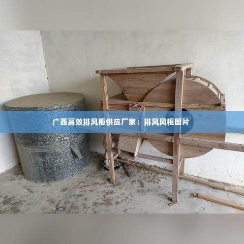 广西高效排风柜供应厂家：排风风柜图片 