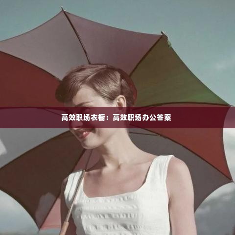 高效职场衣橱:高效职场办公答案