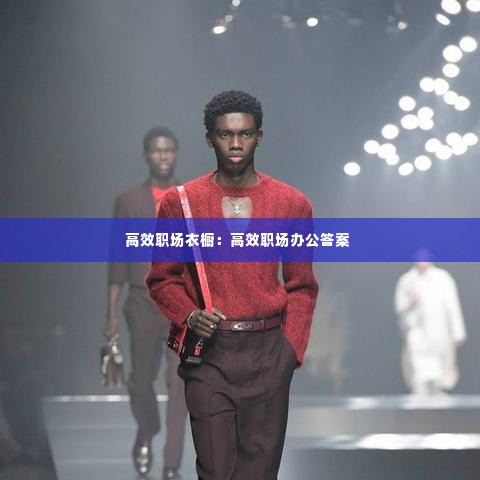 高效职场衣橱:高效职场办公答案