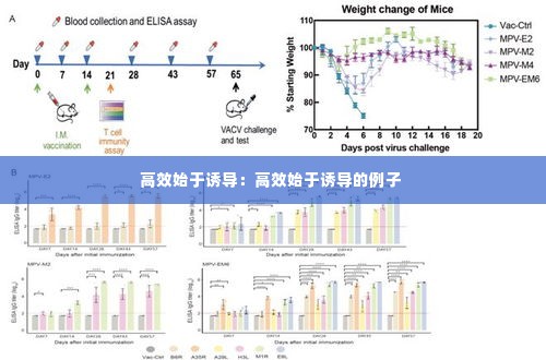 高效始于诱导:高效始于诱导的例子