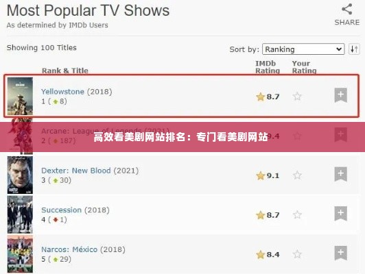 高效看美剧网站排名:专门看美剧网站