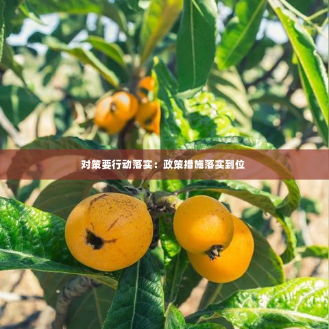 对策要行动落实:政策措施落实到位