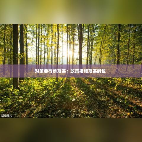 对策要行动落实:政策措施落实到位