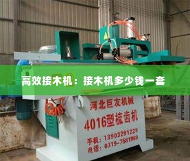 鸟革翬飞 第3页