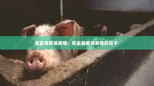 突发奇想搞养殖:突发奇想搞养殖的句子