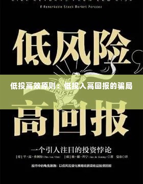 低投高效原则：低投入高回报的骗局 