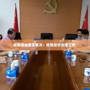 校园综治落实情况:校园综合治理工作