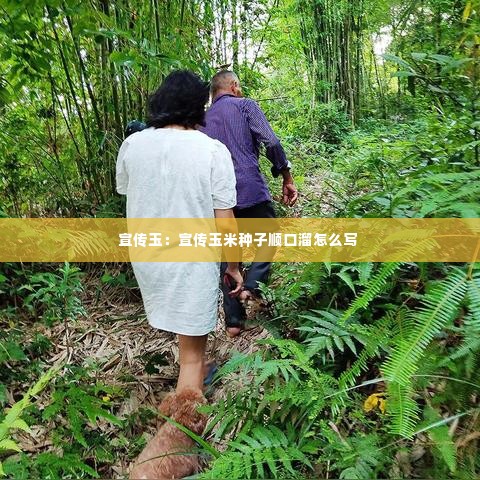 宣传玉:宣传玉米种子顺口溜怎么写