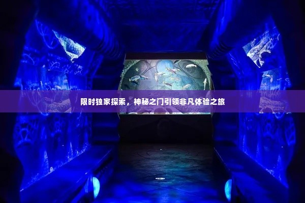 限时独家探索,神秘之门引领非凡体验之旅