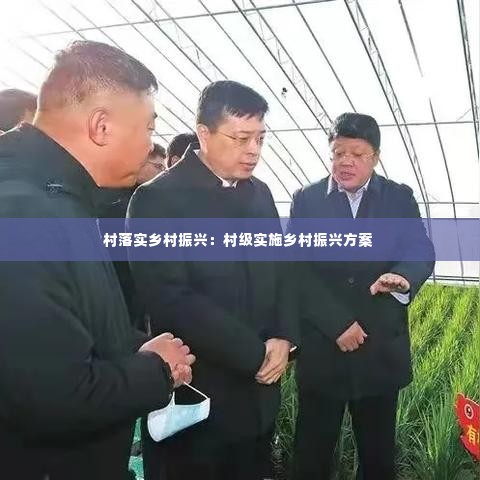 村落实乡村振兴：村级实施乡村振兴方案 