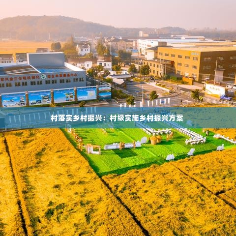 村落实乡村振兴:村级实施乡村振兴方案