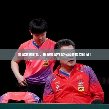 独家放送时刻,揭秘独家花絮视频的魔力瞬间!