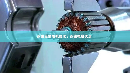永磁高效电机技术:永磁电机优点