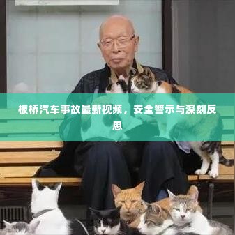 板桥汽车事故最新视频,安全警示与深刻反思