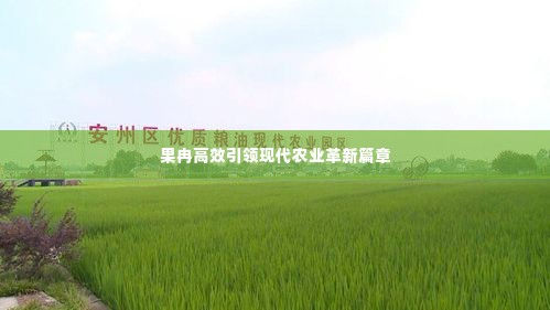 一飞冲天 第3页