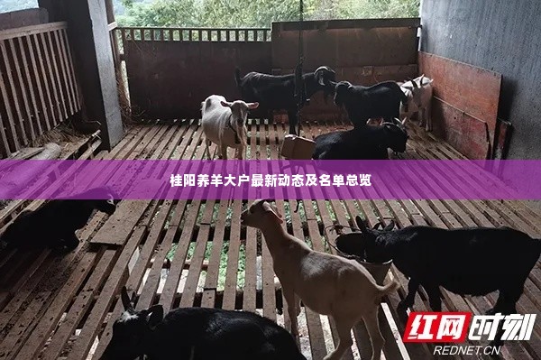 桂阳养羊大户最新动态及名单总览
