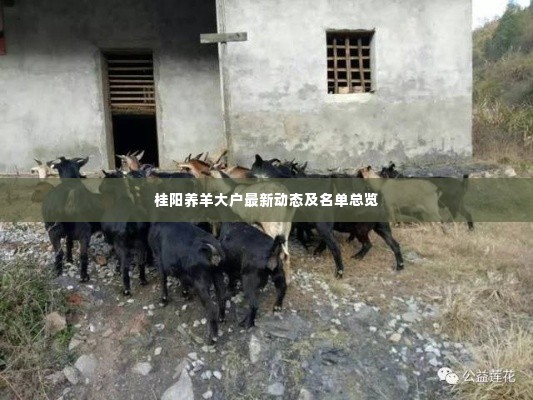 桂阳养羊大户最新动态及名单总览