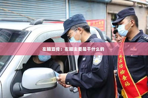 左脑宣传:左脑主要是干什么的