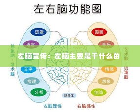 左脑宣传:左脑主要是干什么的