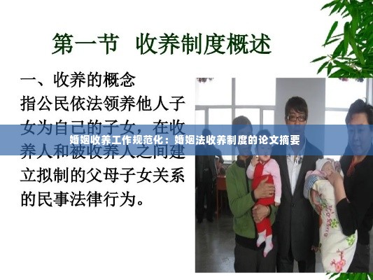 婚姻收养工作规范化：婚姻法收养制度的论文摘要 