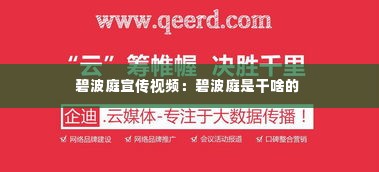 碧波庭宣传视频:碧波庭是干啥的