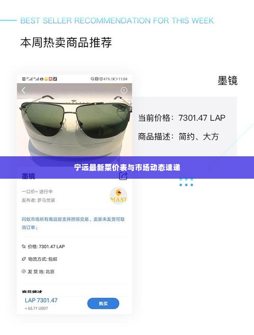 宁远最新菜价表与市场动态速递