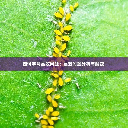 风流倜傥 第3页