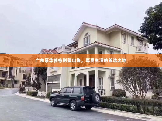 广东豪华独栋别墅出售，尊贵生活的首选之地