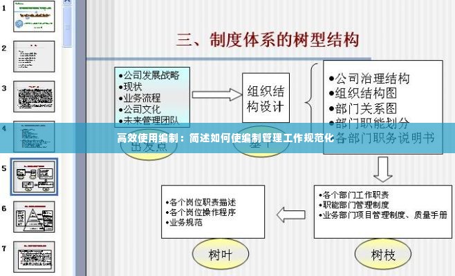 高效使用编制：简述如何使编制管理工作规范化 