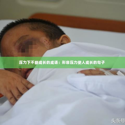 压力下不断成长的成语:形容压力使人成长的句子