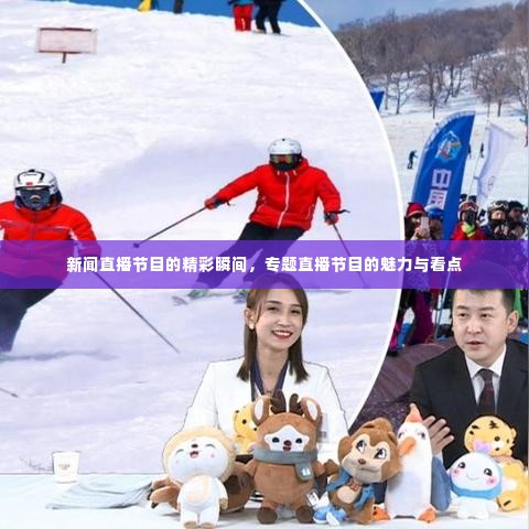 新闻直播节目的精彩瞬间，专题直播节目的魅力与看点