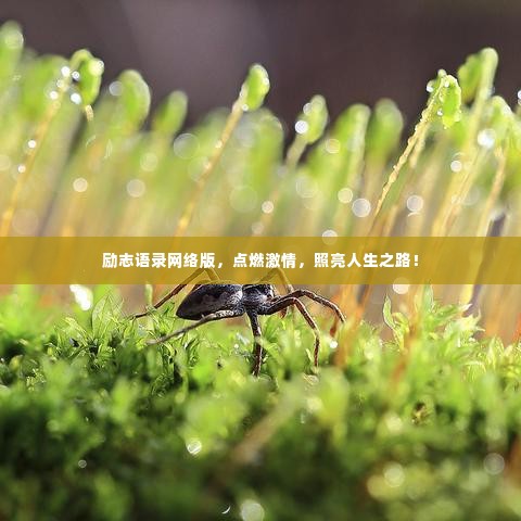 励志语录网络版,点燃激情,照亮人生之路!