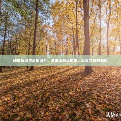 励志短语与治愈图片，激发无限正能量，心灵力量的源泉
