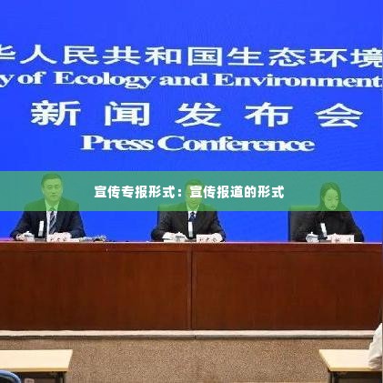 宣传专报形式:宣传报道的形式